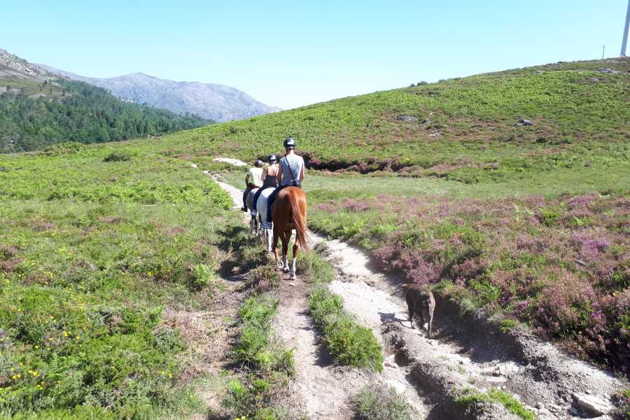 Ger&ecirc;s Equidesafios Passeio a Cavalo de 1H