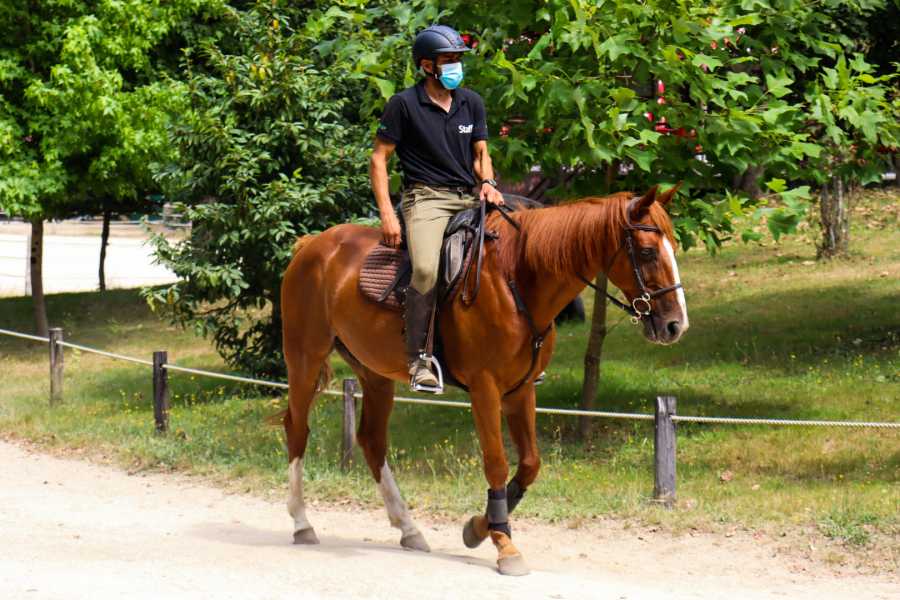 Ger&ecirc;s Equidesafios Passeio a Cavalo de 1H