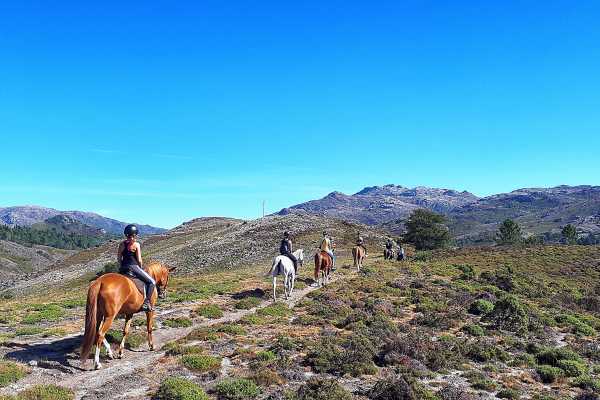 Passeio a Cavalo de 2H