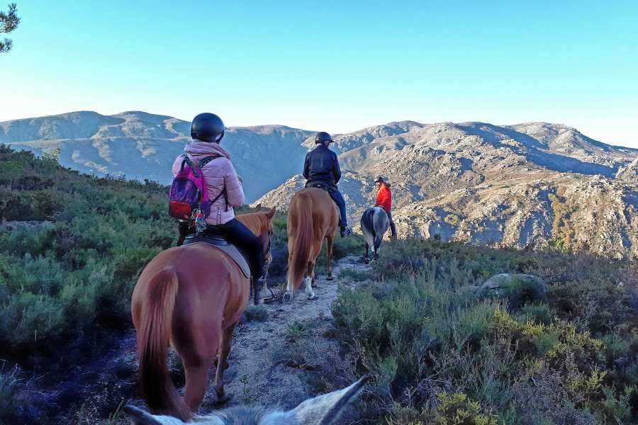 Ger&ecirc;s Equidesafios Horse Ride Tour 2H