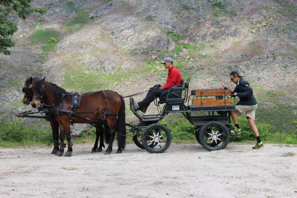 Passeio de Charrete