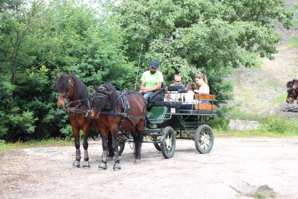 Passeio de Charrete