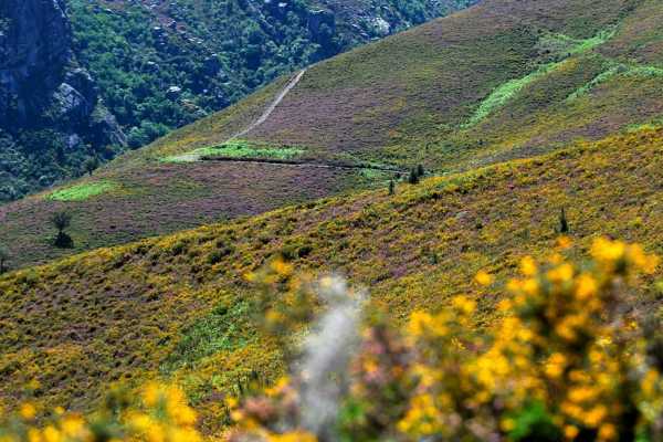 Tour de jipe: Ger&ecirc;s &ndash; Pit&otilde;es das J&uacute;nias 1 Dia