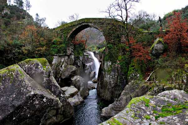 Tour de jipe: Ger&ecirc;s &ndash; Pit&otilde;es das J&uacute;nias 1 Dia