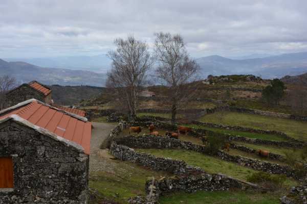 Tour de jipe: Sistelo 1 Dia