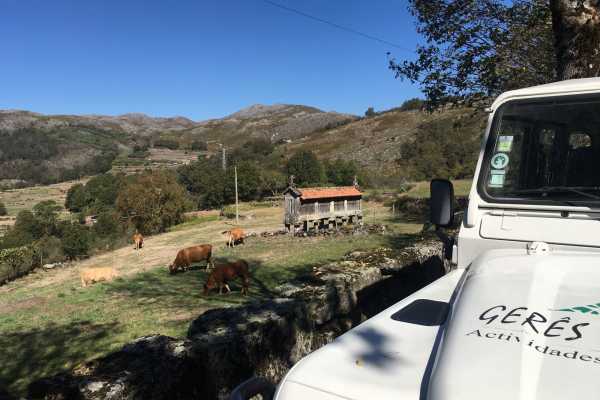 Tour de jipe: Sistelo 1 Dia