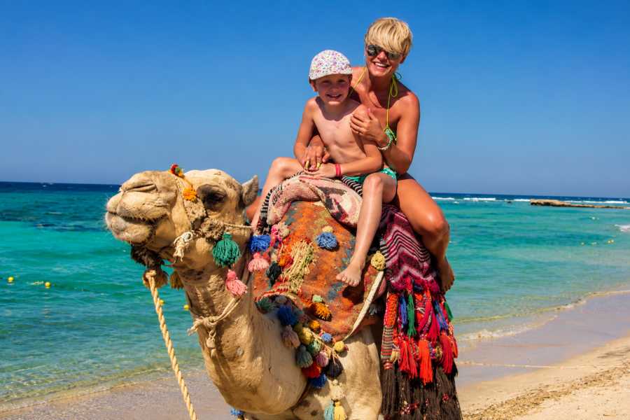 Let`s Explore Egypt 8 Days Egypt Adventure Tour &ndash; Cairo, Desert & Red Sea