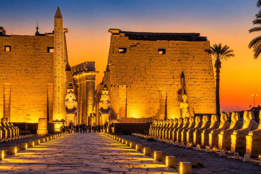 Let`s Explore Egypt 8 Days Egypt Package with Pyramids & Nile Cruise by Train