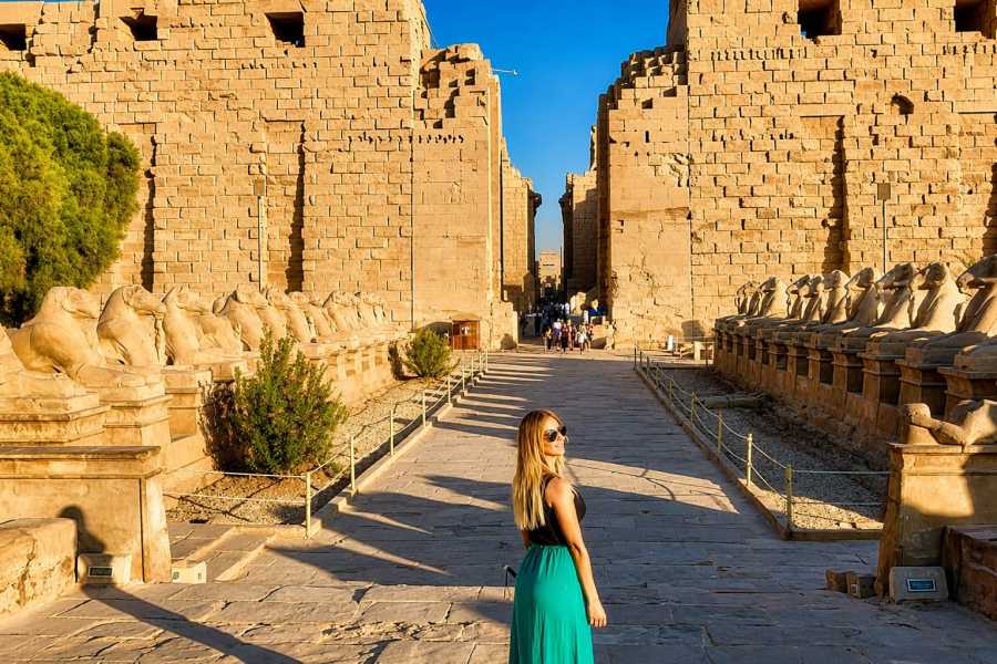 Let`s Explore Egypt 8 Days Egypt Package with Pyramids & Nile Cruise by Train