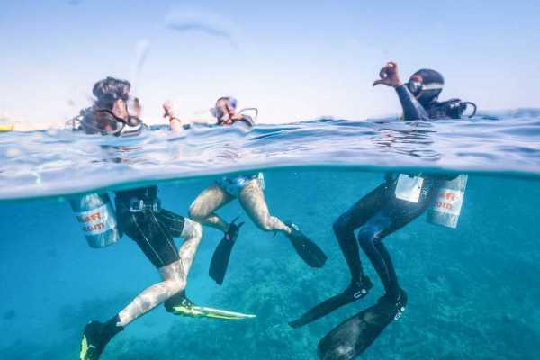 Padi Open water course in Hurghada
