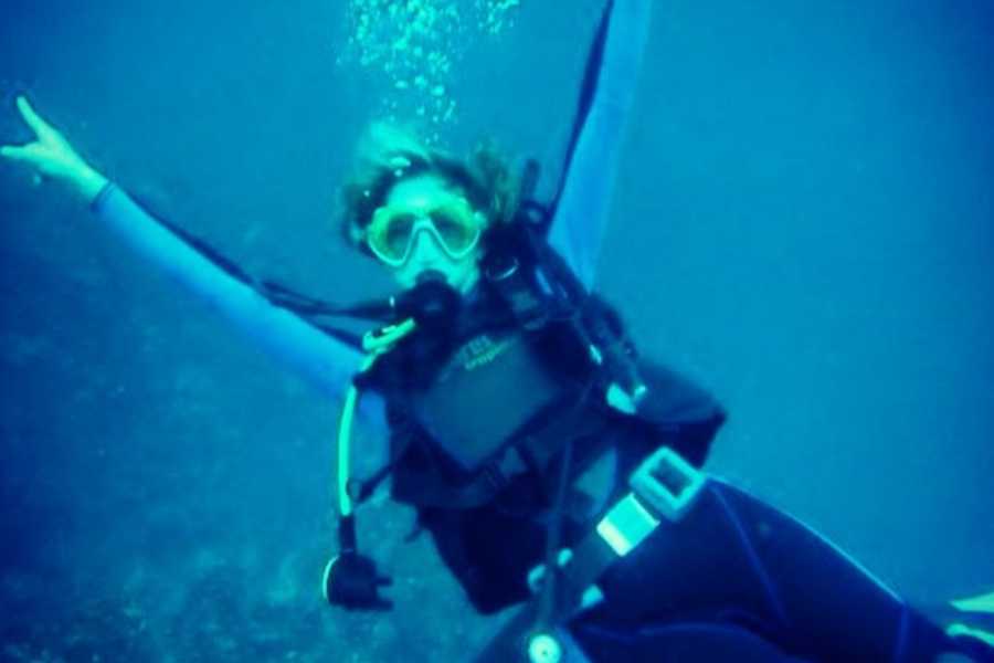 Uvita Information Center Caño Island Diving or snorkeling from Uvita