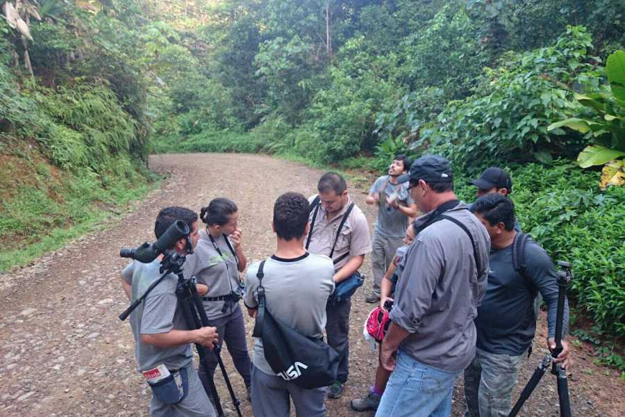 Uvita Information Center Private Professional Bird Watching Guide