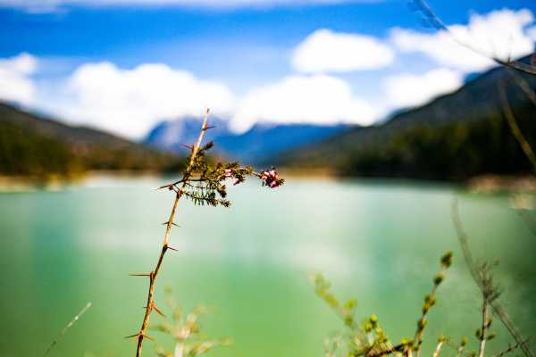 Private Tour from Salzburg to Venice (via Dolomites - 4 days)