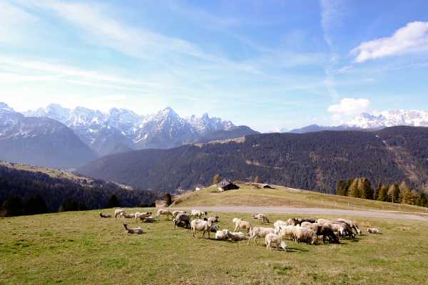 Private Tour from Salzburg to Venice (via Dolomites - 4 days)