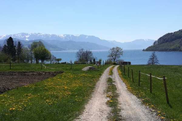 Salzkammergut Gustav Klimt, Gustav Mahler and Johannes Brahms refuge and inspiration