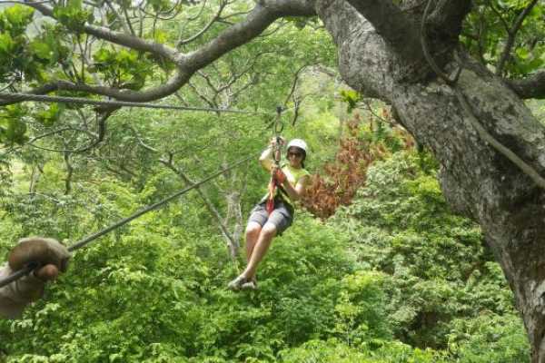 Congo Canopy Zip Line and Monkey Tour