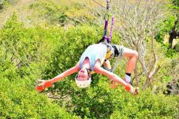 Congo Canopy Zip Line and Monkey Tour