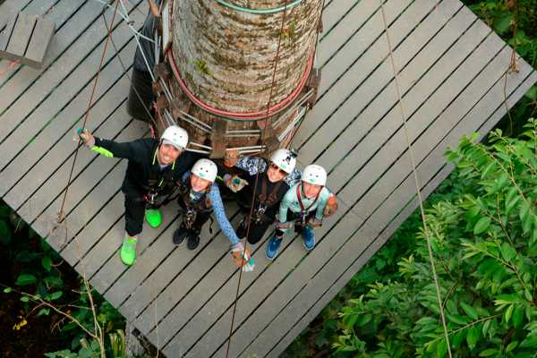Congo Canopy Zip Line and Monkey Tour
