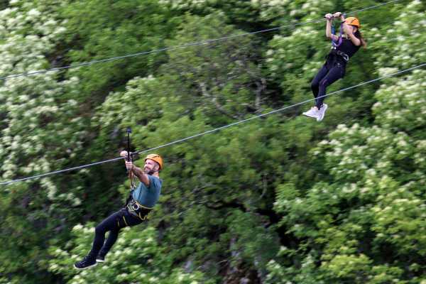 Congo Canopy Zip Line and Monkey Tour