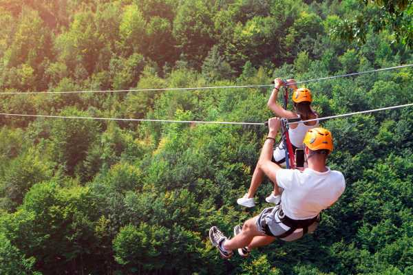 Congo Canopy Zip Line and Monkey Tour