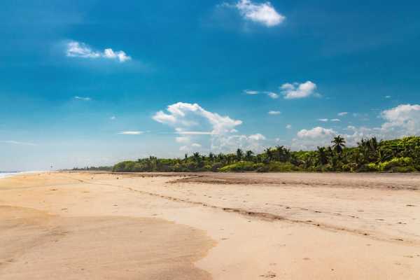 Playa Potrero ATV Jungle Tour