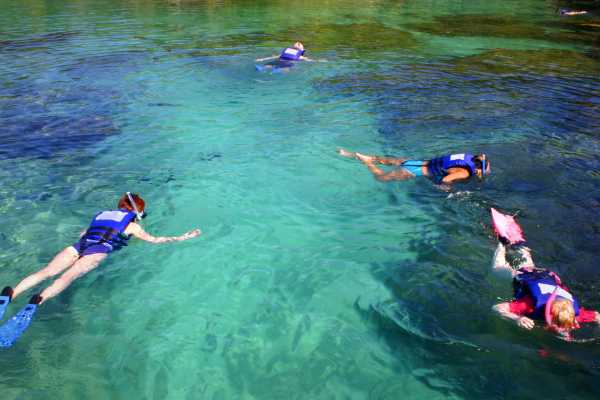 RIU Guanacaste Snorkeling Safari