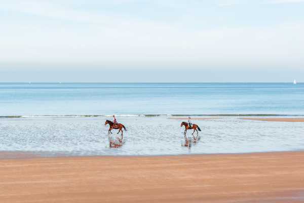 Horseback Riding and Snorkeling RIU Hotel