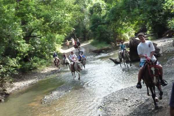 Horseback Riding and Snorkeling RIU Hotel