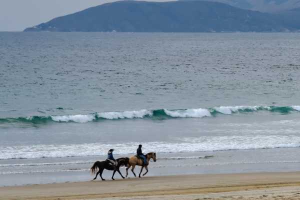 Horseback Riding and Snorkeling RIU Hotel