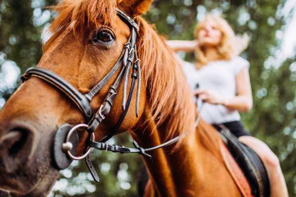 Horseback Riding and Snorkeling RIU Hotel