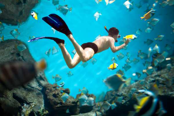 Catalinas Islands Jet Ski and Snorkel Tour