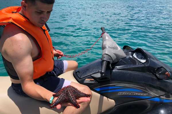 Catalinas Islands Jet Ski and Snorkel Tour