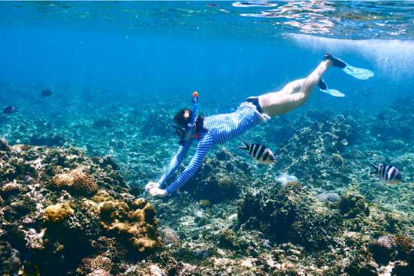 Catalinas Islands Jet Ski and Snorkel Tour