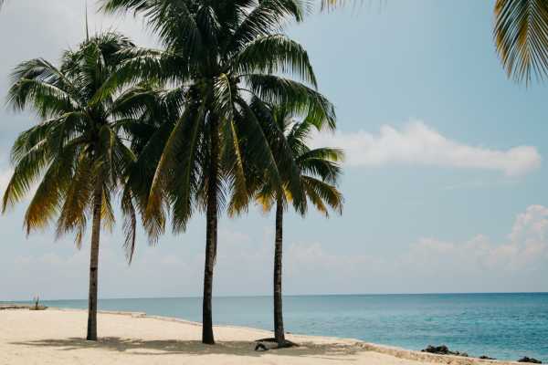 Catalinas Islands Jet Ski and Snorkel Tour