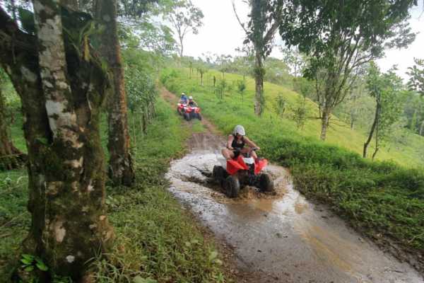 ATV Sloth Habitat Tour