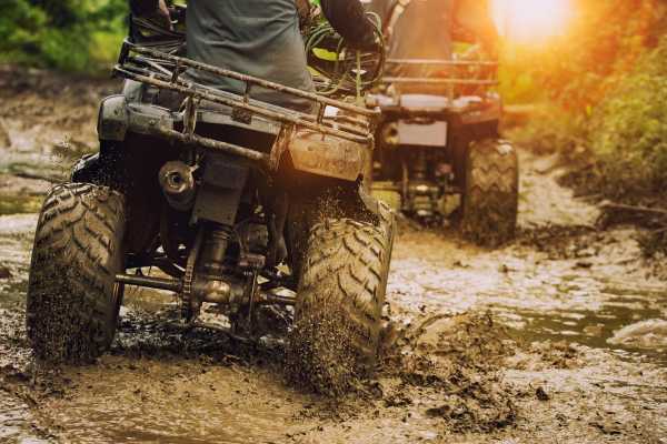 ATV Sloth Habitat Tour