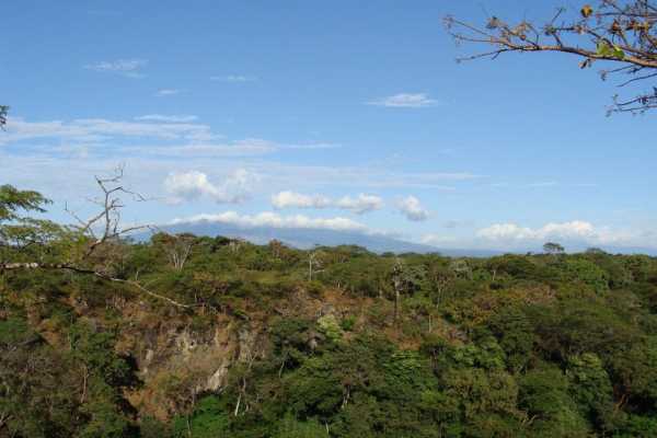 ATV Sloth Habitat Tour