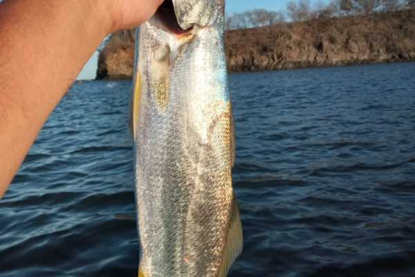 Kayak Playa Potrero and Fishing Tour