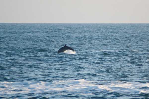 Kayak Playa Potrero and Fishing Tour