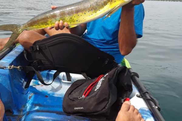 Kayak Playa Potrero and Fishing Tour