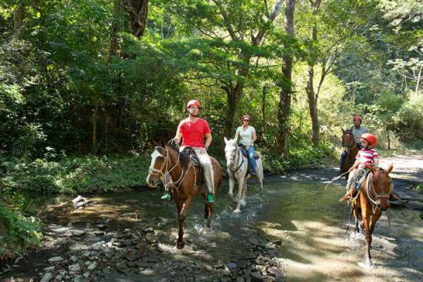 Buena Vista Premium Day Pass