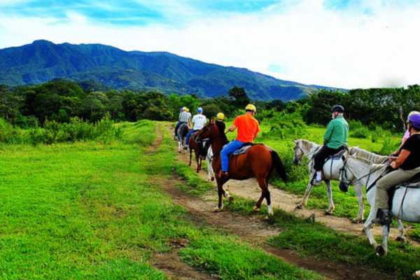 Buena Vista Premium Day Pass