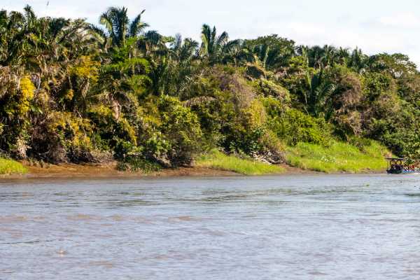 Palo Verde Sugar Mill and Cultural Tour