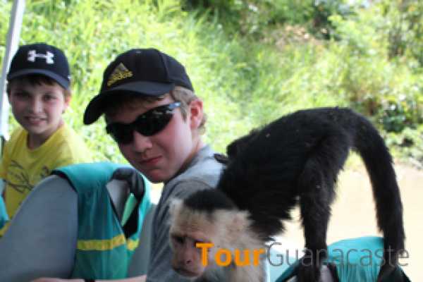 Palo Verde Sugar Mill and Cultural Tour