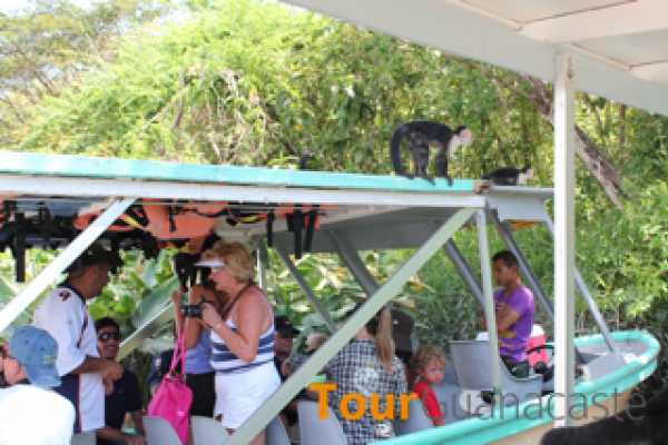 Palo Verde Sugar Mill and Cultural Tour