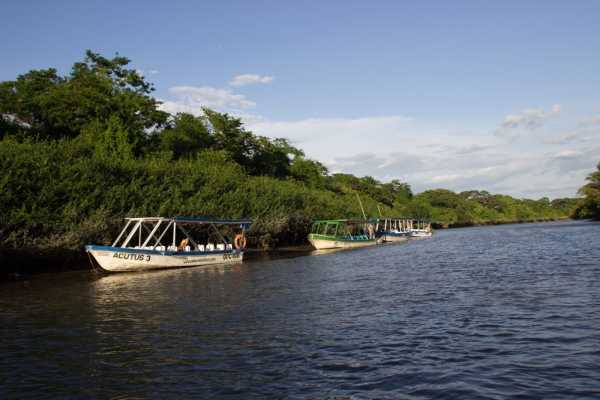 Palo Verde Sugar Mill and Cultural Tour