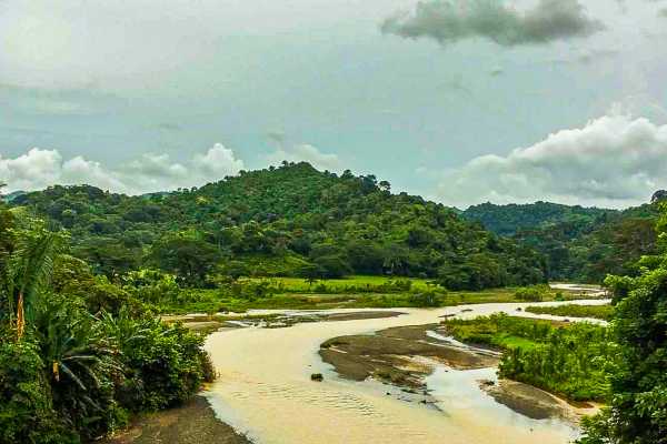 Palo Verde Sugar Mill and Cultural Tour