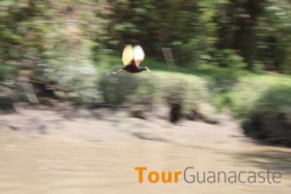 Palo Verde Sugar Mill and Cultural Tour