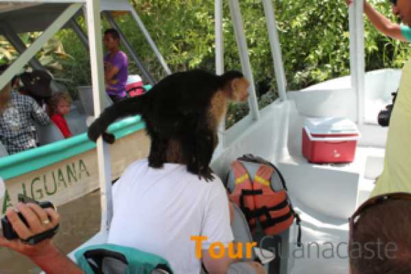 Palo Verde Sugar Mill and Cultural Tour