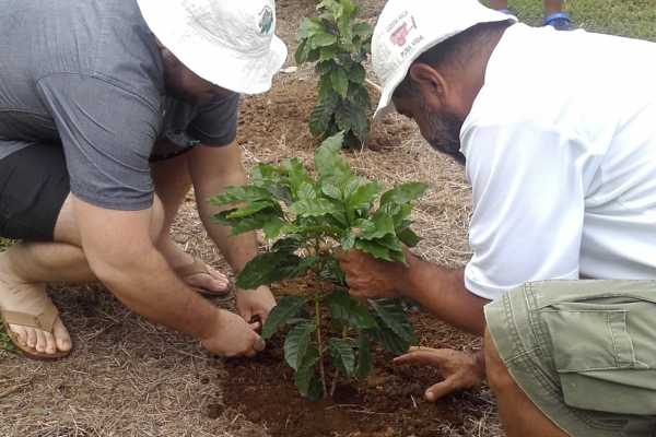 Palo Verde and Coffee Tour